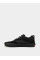 Низькі Vans Skate Safe Low модель VN000EEHBKA1