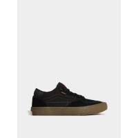 Низький Vans Skate Rowan модель VN0A5JIC39L1