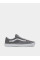 Низкие Vans Skate Old Skool модель VN0A5FCB1N61