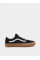 Низький Vans Skate Old Skool модель VN0A5FCBB9M1