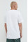 Хлопковая футболка Vans цвет белый однотонный VN0A49R7WHT1-WHITE
